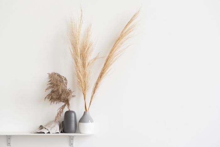 decoration beige vegetal