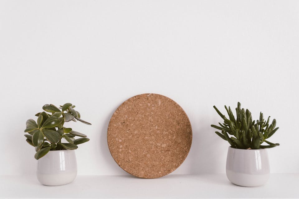 plantes artificielles 1 4
