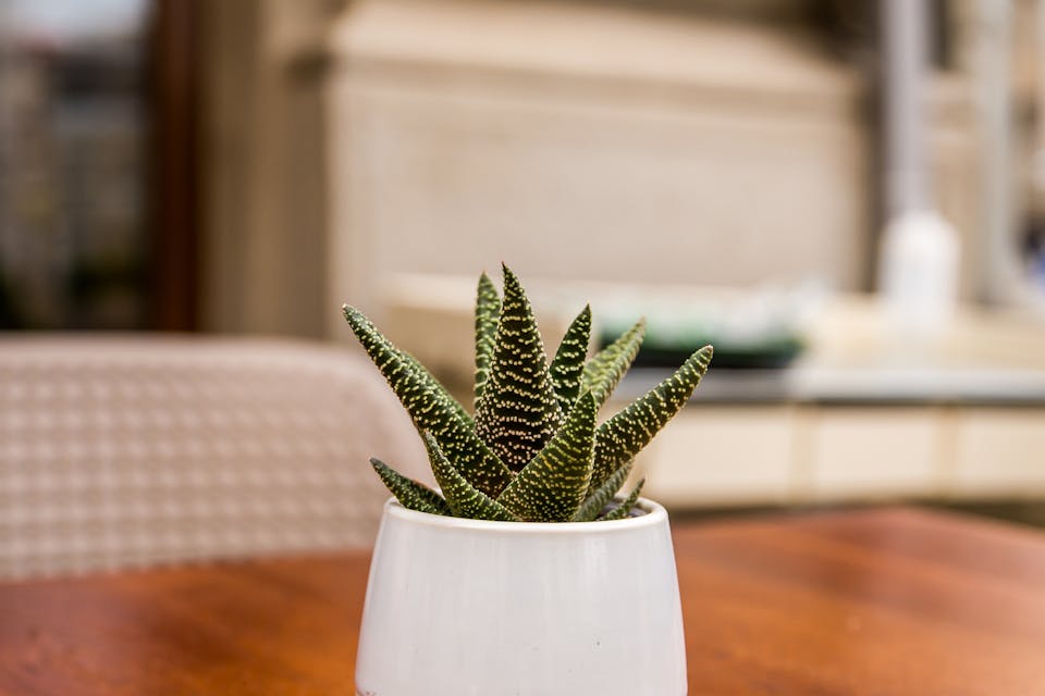 plantes artificielles 3